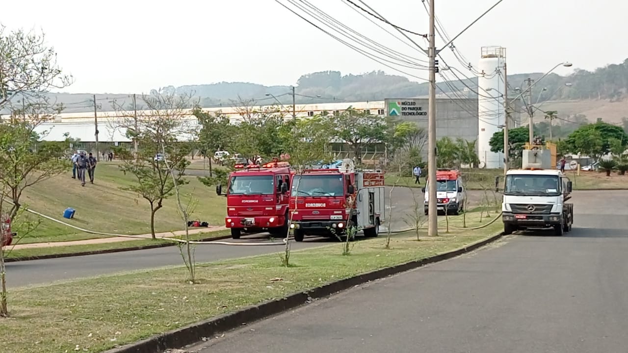 Foto: Wagner Romano / PIRANOT