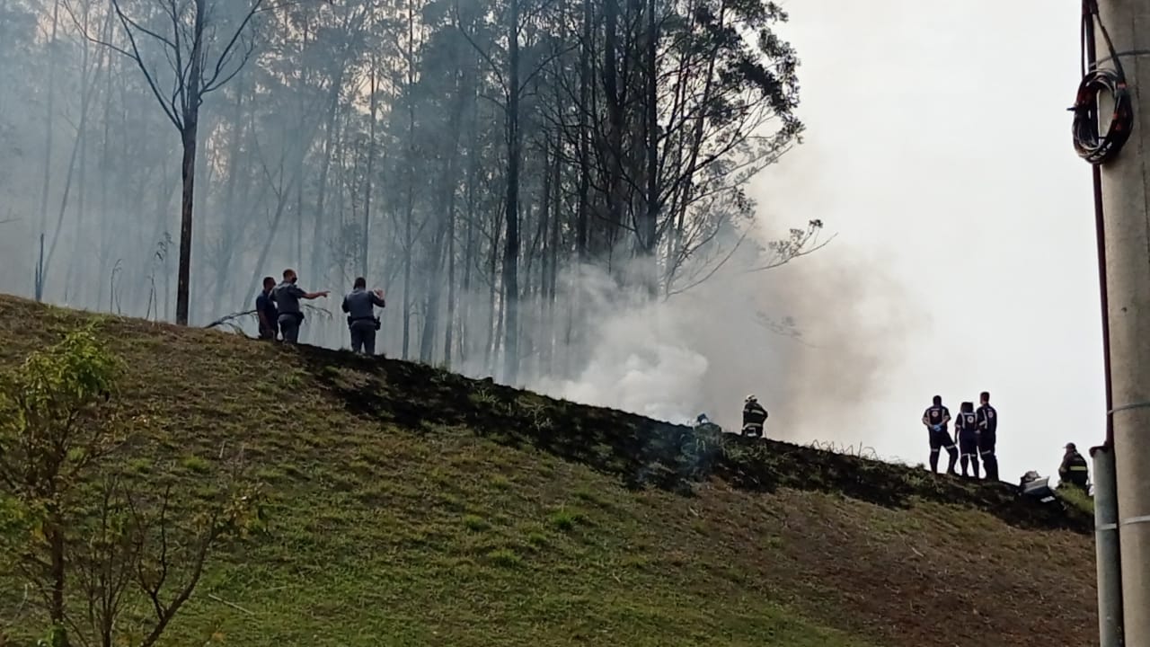 Foto: Wagner Romano / PIRANOT
