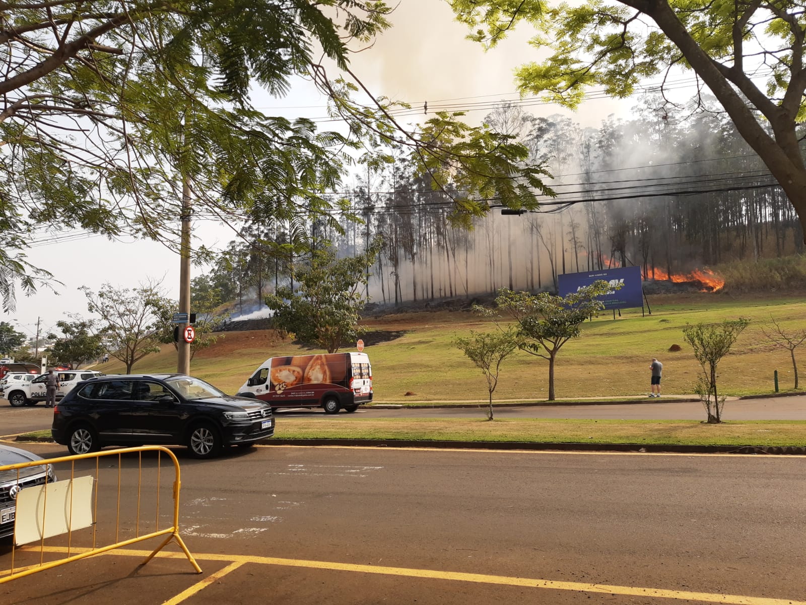 Foto: Wagner Romano / PIRANOT