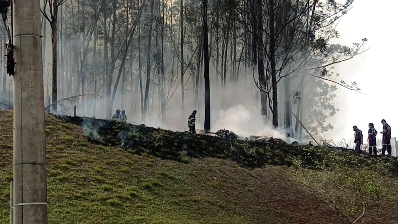 Foto: Wagner Romano / PIRANOT