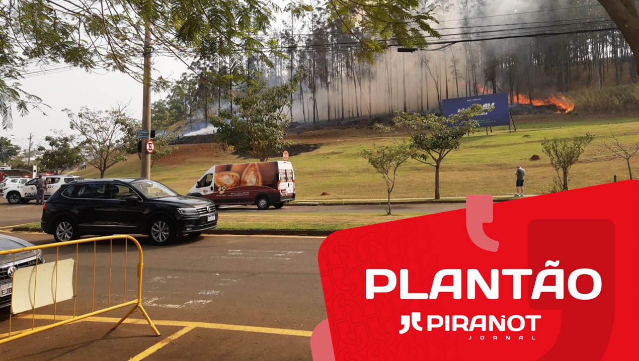 Foto: Wagner Romano / PIRANOT