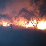 Piracicaba (SP) já registra aumento de 46% nos incêndios em vegetação em meio à crise hídrica