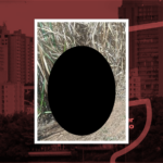 Cadáver em decomposição é encontrado em canavial de Piracicaba (SP)