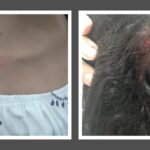 GCM de Piracicaba apanha duas vezes de casal paulistano irritado com ‘piracicabanos’ ao volante