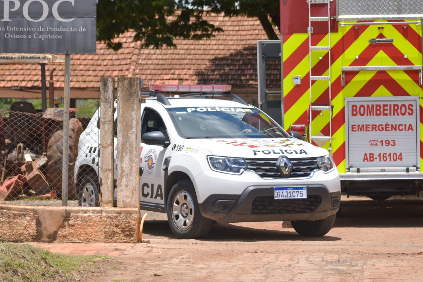 Foto: Wagner Romano / PIRANOT