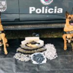 Em dois anos, 10º Baep já apreendeu mais de 2,4 toneladas de drogas