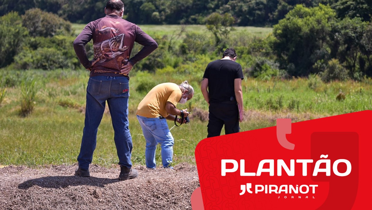 Foto: Wagner Romano / PIRANOT