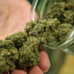Jovem é preso após vizinhos denunciarem odor de maconha e acionarem a Guarda Municipal em Piracicaba