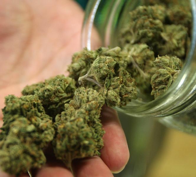 Jovem é preso após vizinhos denunciarem odor de maconha e acionarem a Guarda Municipal em Piracicaba