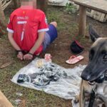 Polícia Civil de Piracicaba prende traficante de drogas e apreende R$ 12 mil reais