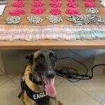 Indivíduo de 23 anos é preso e grande quantidade de drogas é apreendida em Piracicaba (SP)