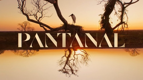 Resumo “Pantanal”: capítulo desta segunda-feira (11/04/22)