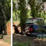Caminhonete despenca da Rua do Porto e quase cai no Rio Piracicaba
