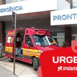 Homem toma mais de 100 picadas de abelha durante poda de árvore em Piracicaba (SP)