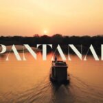 “PANTANAL”: resumo do capitulo desta terça-feira (29/03/22)