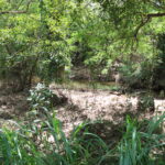 Piracicaba é contemplada no programa Rios Vivos para desassorear o ribeirão Piracicamirim