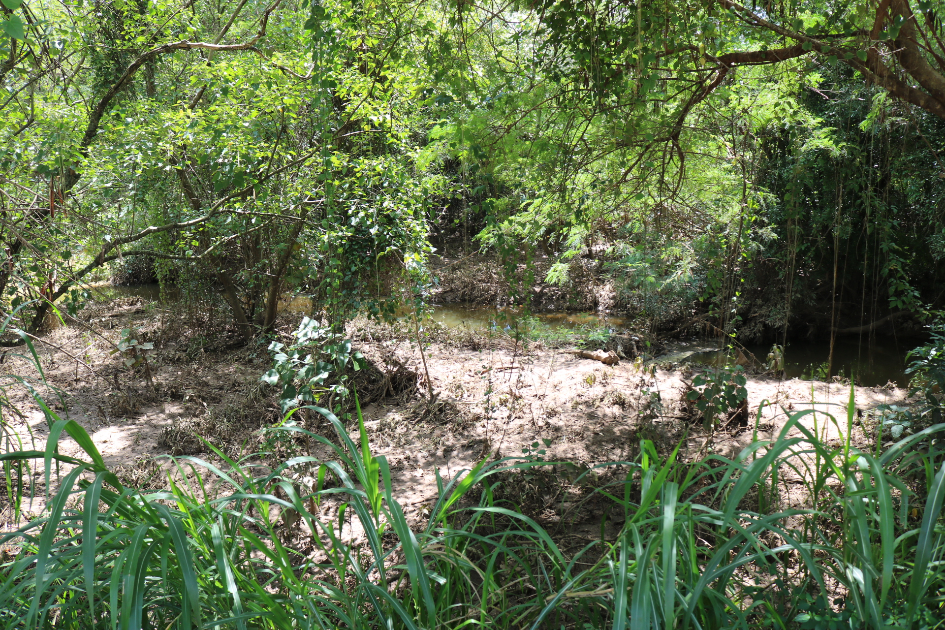 Desassoreamento é essencial para evitar alagamentos na região | Foto: Andressa Mota/CCS