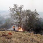 Defesa Civil de Piracicaba orienta como prevenir incêndios no período de estiagem