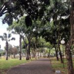 Parque da Rua do Porto de Piracicaba amplia horário de funcionamento