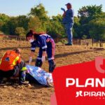 Homem morre em Piracicaba (SP) após montar em cavalo sem equipamentos