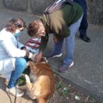 Cachorro cai de viaduto e é socorrido pela Guarda Civil de Piracicaba