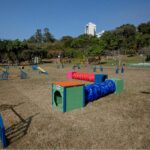 Prefeitura inaugura primeiro espaço público para recreação de pets em Piracicaba