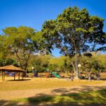 Confira o que abre e fecha em Piracicaba no feriado desta quinta-feira (08)
