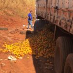 Caminhão é multado em Piracicaba (SP) descartando laranjas estragadas