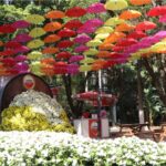 Agência de turismo de Piracicaba (SP) divulga agenda de viagens e passeios