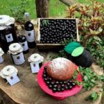 Seis motivos para participar do Festival Gastronômico da Jabuticaba