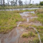 Empresa em Piracicaba é multada por descarte irregular de resíduo industrial em lagoa