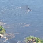 Homem encontrado morto no Rio Piracicaba está no IML para identificação