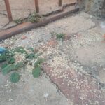 Três crianças são resgatadas pela PM abandonadas sozinhas dentro de residência em Piracicaba