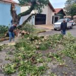Após fortes chuvas em Piracicaba, equipes da Prefeitura trabalham para reparar os danos