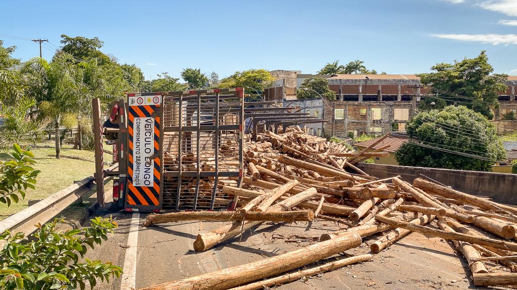 Foto: Wagner Romano/PIRANOT