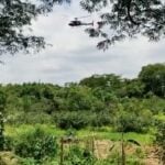 Helicóptero Águia sobrevoa Piracicaba em buscas por suspeito de estupro
