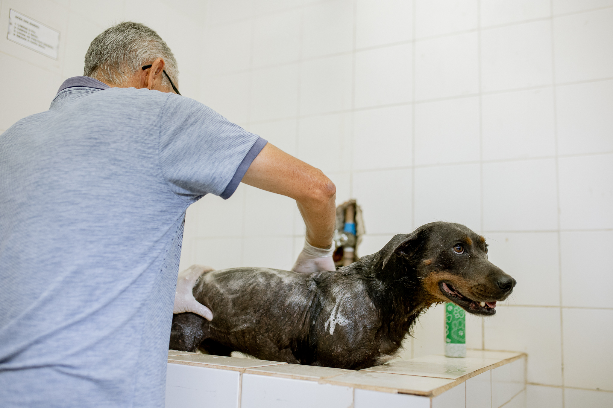 Foto: Isabela Borghese