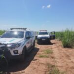 Homem encontrado morto a tiros em canavial de Piracicaba segue no IML sem identificação