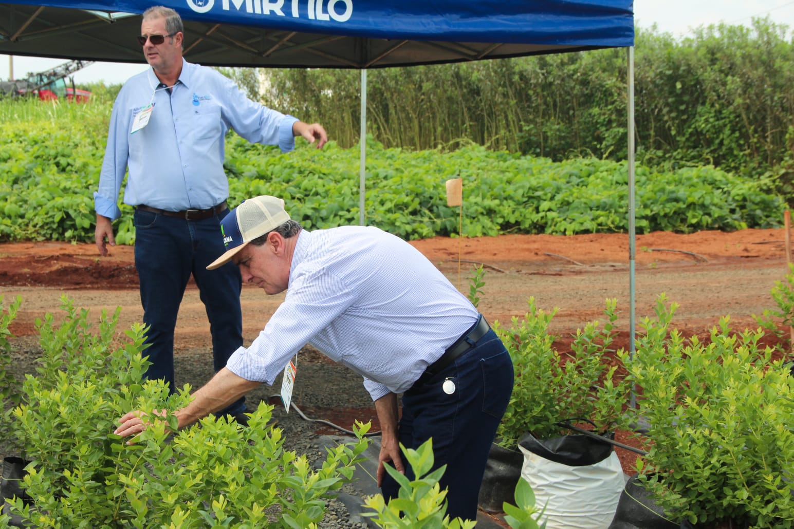 Coplacampo: deputado Zanatta destaca a força do agronegócio e do cooperativismo