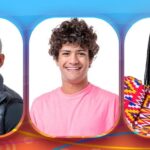 Big Brother Brasil: A Influência das Enquetes na Torcida dos Fãs