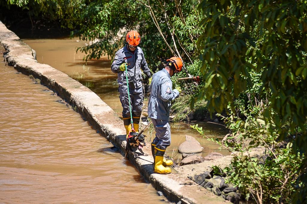 Bombeiros resgatam cachorra presa no Rio Piracicaba