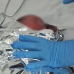Recém-nascida encontrada abandonada em canavial de Piracicaba passa bem