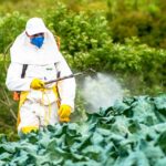 Palestra sobre uso do glifosato na agricultura e suas causas acontece em Piracicaba (SP)