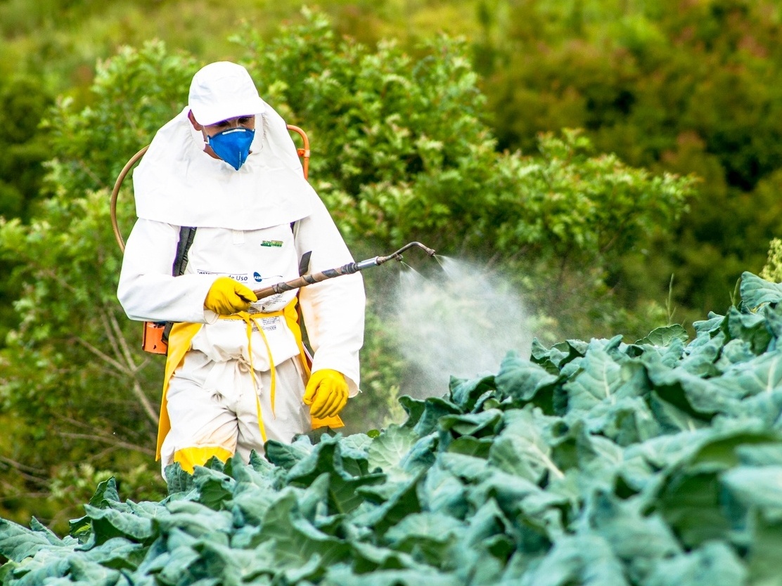 Palestra sobre uso do glifosato na agricultura e suas causas acontece em Piracicaba (SP)
