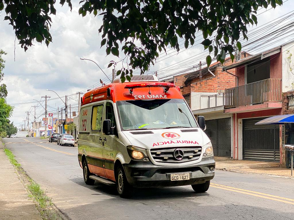 Foto: Wagner Romano / PIRANOT