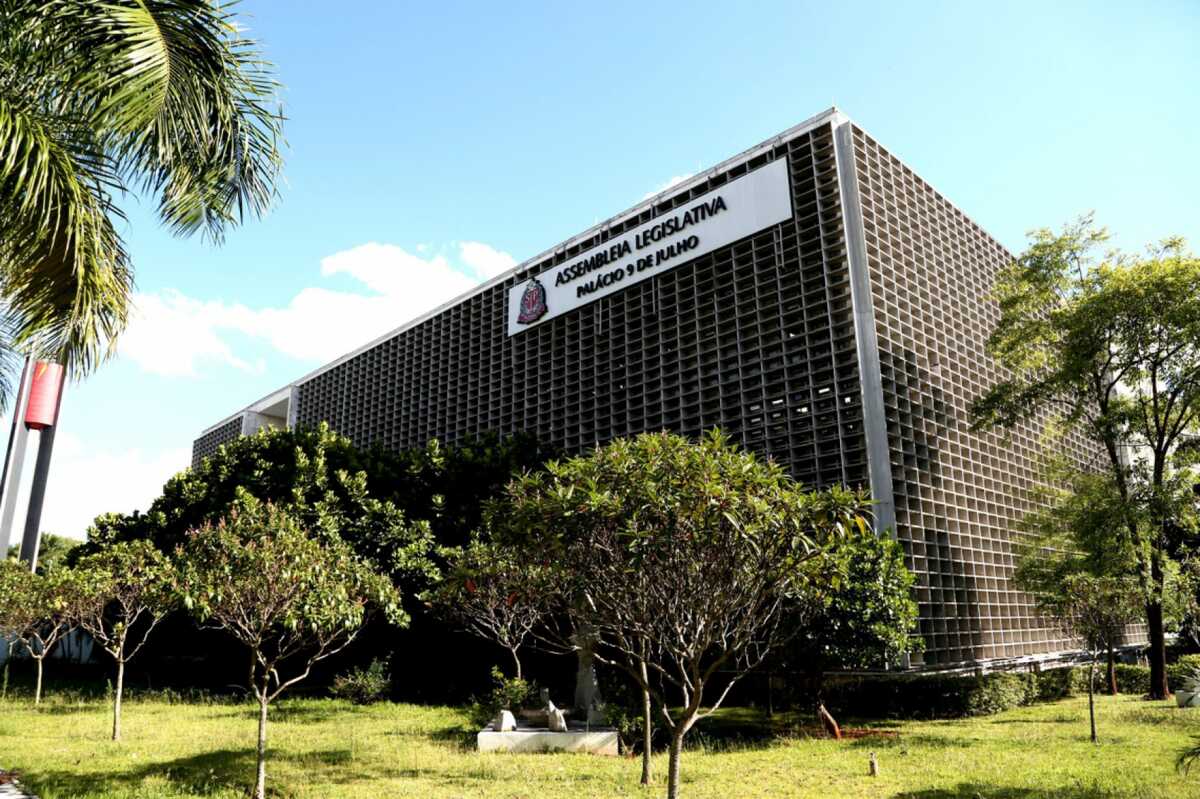 Segurança Pública é o tema com maior número de frente parlamentar no Estado de SP