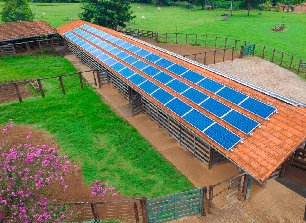 Foto: Divulgação/Reprodução