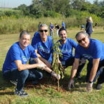 ACIPI planta 90 mudas de árvores em Piracicaba (SP)