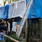Zoológico de Piracicaba inicia Operação Inverno para manter animais bem aquecidos