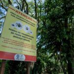 Febre maculosa: cidade não registra casos em 2023; Saúde alerta para prevenção